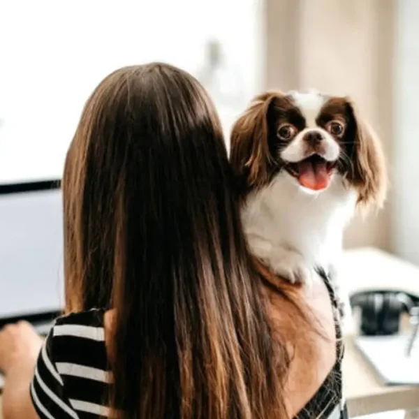 Pet5ardas com: The Ultimate Pet-Lover Power Platform for Modern Pet Care